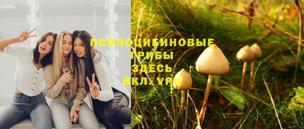 MDMA Premium VHQ Медвежьегорск