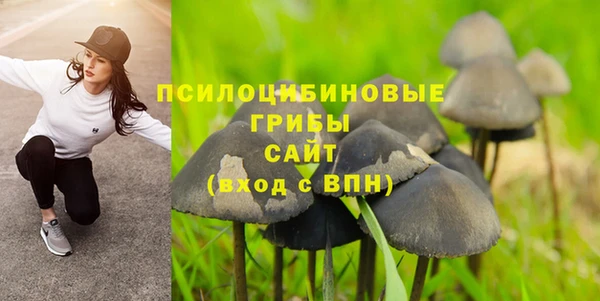 соль курить ск Алексеевка