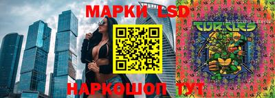 стаф Кандалакша