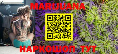 стаф Кандалакша