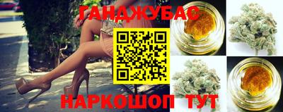 ПСИЛОЦИБИНОВЫЕ ГРИБЫ Камышлов