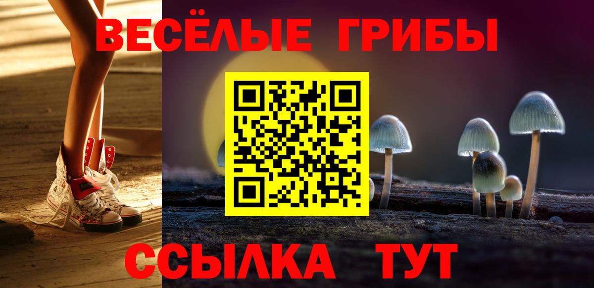 Псилоцибиновые грибы GOLDEN TEACHER  Вход с VPN  Псилоцибиновые грибы прущие грибы  Электрогорск 