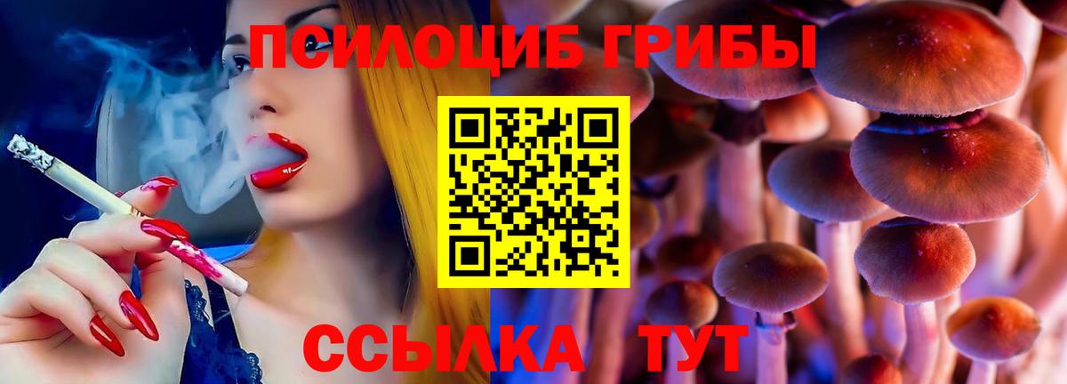 Псилоцибиновые грибы прущие грибы Электрогорск
